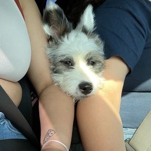 Meet your Posher, Erika